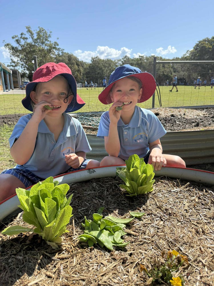 Two students at the school garden eating lettuce